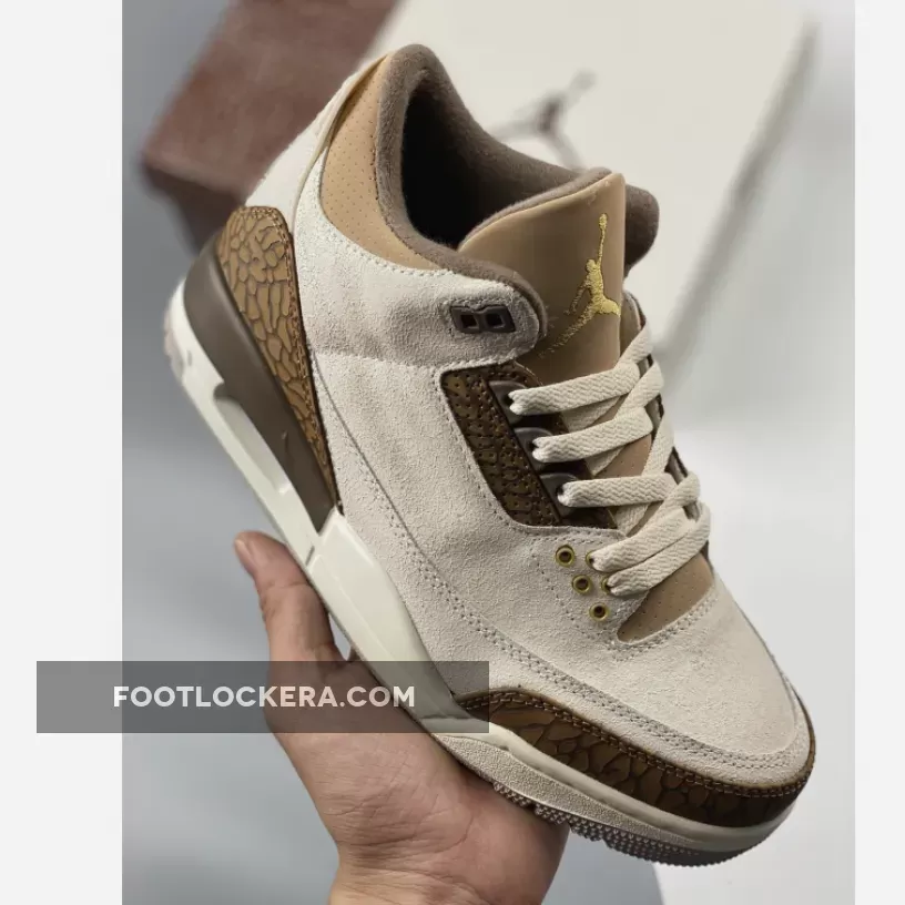 Air Jordan 3 Light Orewood Brown/Palomino CT8532-102 New Releases