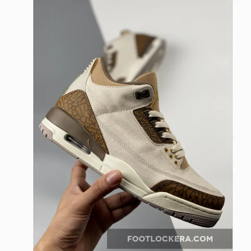 Air Jordan 3 Light Orewood Brown/Palomino CT8532-102 New Releases