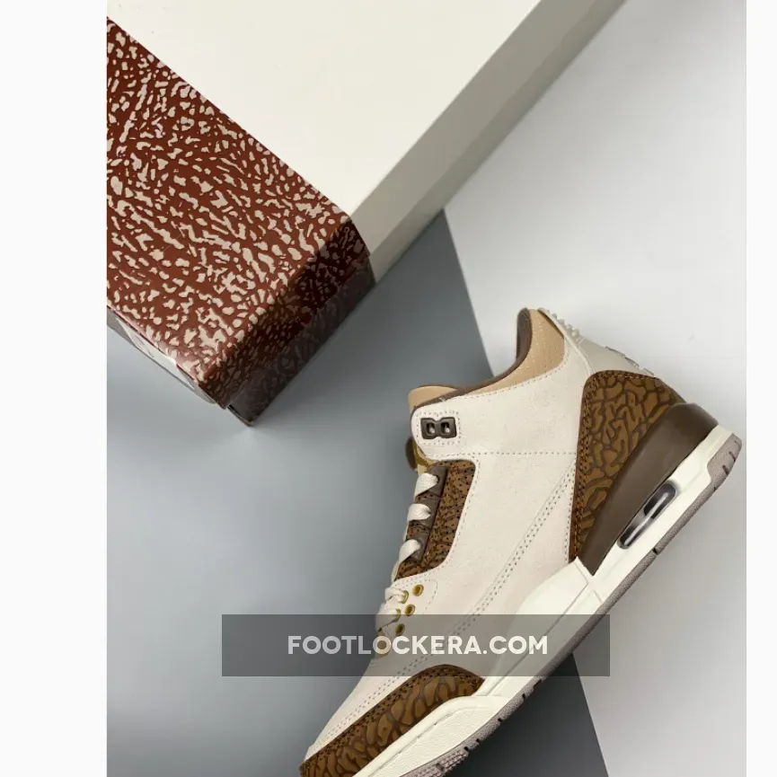 Air Jordan 3 Light Orewood Brown/Palomino CT8532-102 New Releases