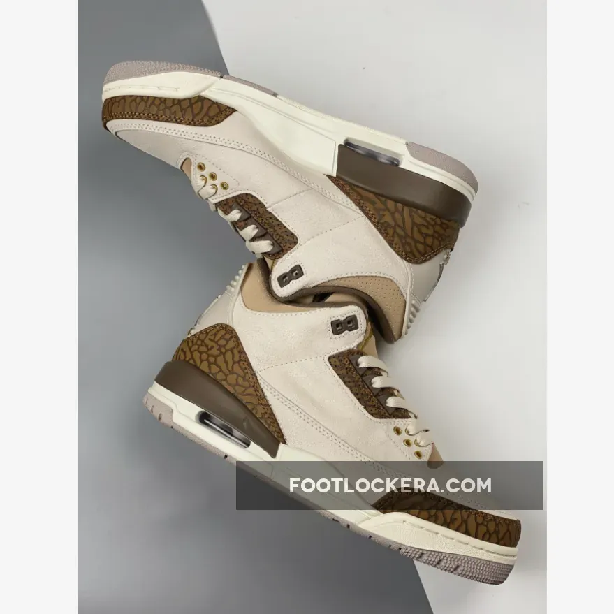 Air Jordan 3 Light Orewood Brown/Palomino CT8532-102 New Releases