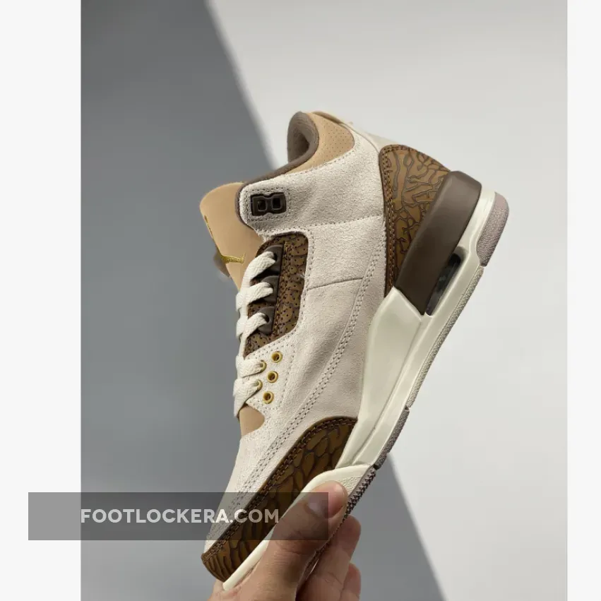 Air Jordan 3 Light Orewood Brown/Palomino CT8532-102 New Releases