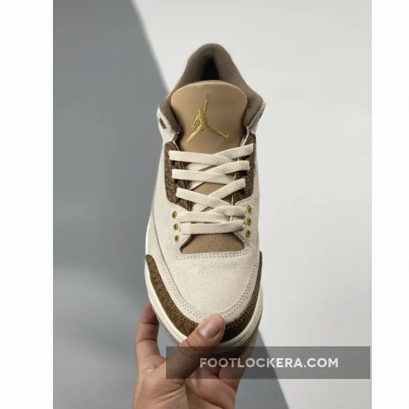 Air Jordan 3 Light Orewood Brown/Palomino CT8532-102 New Releases