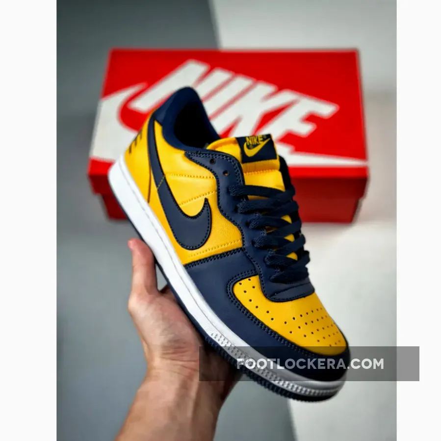 Nike Terminator Low Michigan FJ4206-700 Restock
