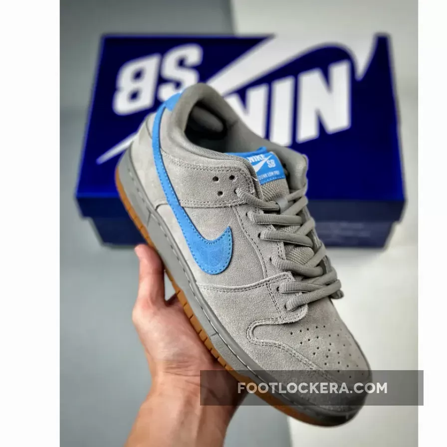 sb dunk low iron
