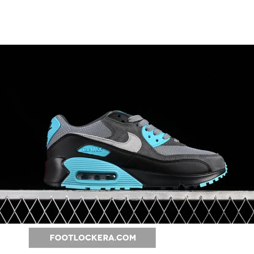 AIR MAX 90 COOL GREY/WOLF GREY/DUSTY CACTUS/BLACK/ANTHRACITE