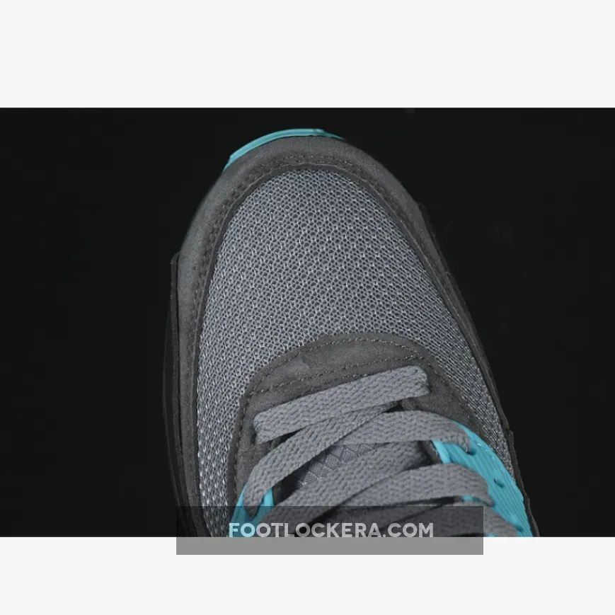 AIR MAX 90 COOL GREY/WOLF GREY/DUSTY CACTUS/BLACK/ANTHRACITE AIR MAX 90 COOL GREY/WOLF GREY/DUSTY CACTUS/BLACK/ANTHRACITE