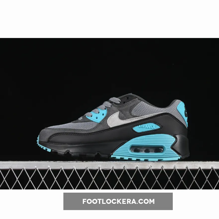AIR MAX 90 COOL GREY/WOLF GREY/DUSTY CACTUS/BLACK/ANTHRACITE AIR MAX 90 COOL GREY/WOLF GREY/DUSTY CACTUS/BLACK/ANTHRACITE