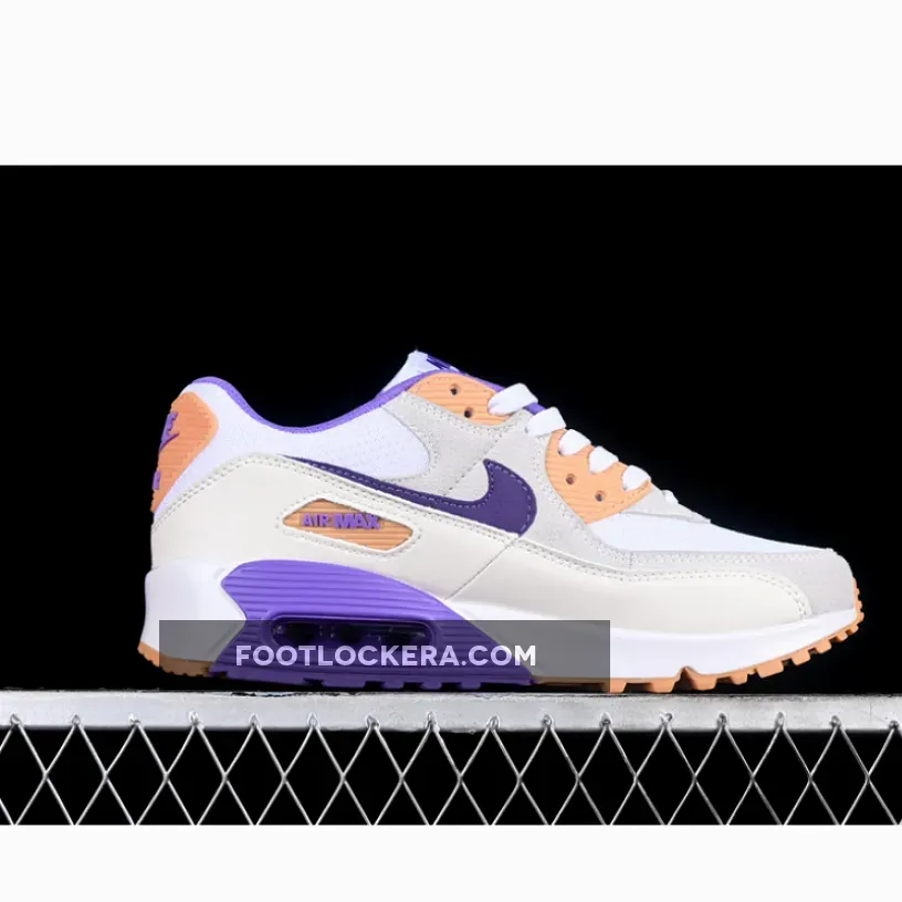 AIR MAX 90 SAIL PURPLE/WHITE/GREY